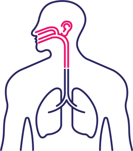 Nose & Throat illustration